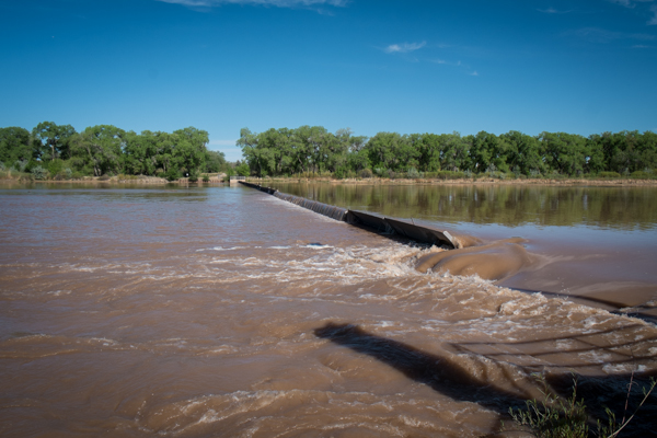 Despite drought, farmers on central New Mexico’s Rio Grande looking at ...