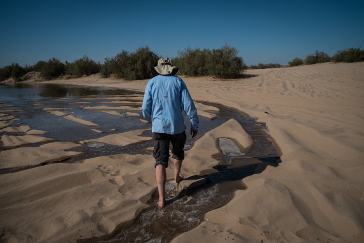 Karl Flessa On The Colorado River Pulse Flow One Year On Jfleck At