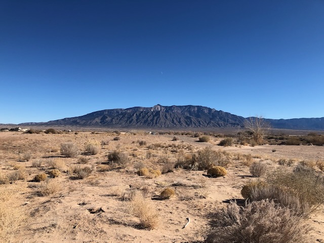 Desert scrub landscape in the foreground with a ridge of dark mountains in the distance, a blue sky, and a barely visible crescent moon.